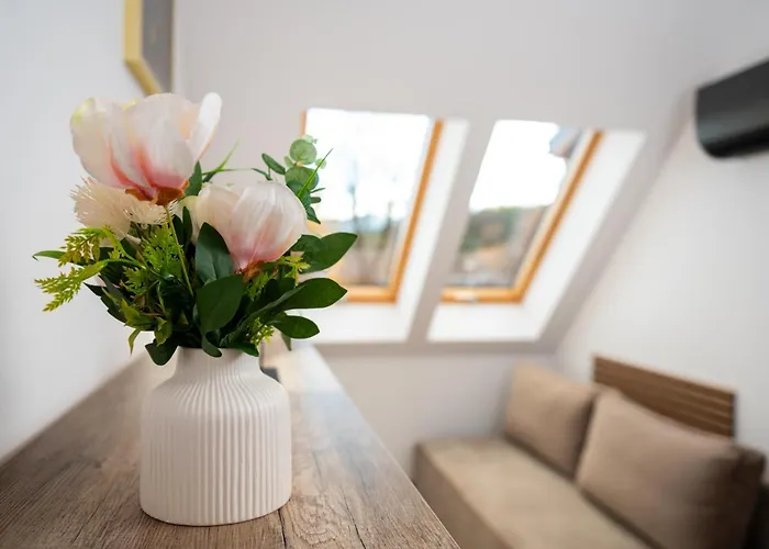 Osada Ducha Gor 度假居